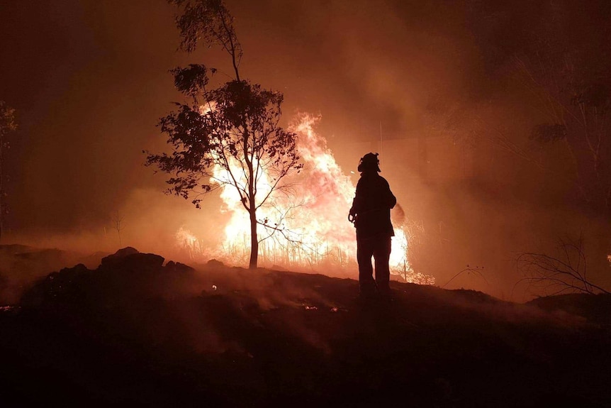 A firefighter stands in front of flames.