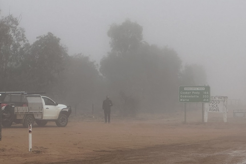 car on outback road in fog