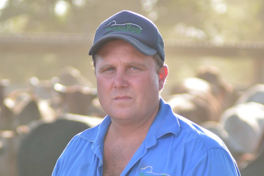 Middle aged man wearing a blue collared shirt looks ahead upset, he's standing in front of a herd of cattle.