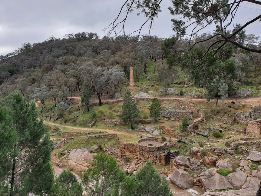 Short sandstone walls criss-cross the side of a steep hill with many trees.