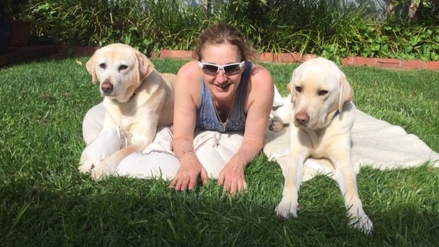 A woman laying on grass with dogs on either side of her.