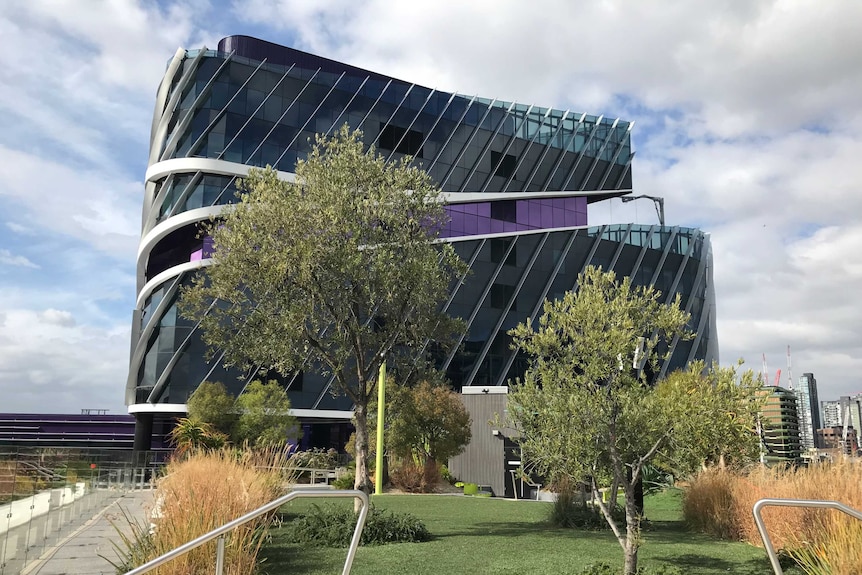 A garden with grass, shrubs and trees on a rooftop terrace at the Victorian Comprehensive Cancer Centre.