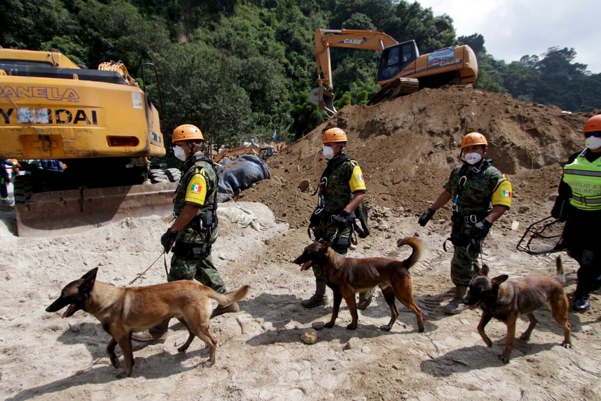 Mexican Army rescue team members and their sniffer dogs sniffer dogs arrive to an area affected by a mudslide near Guatemala City