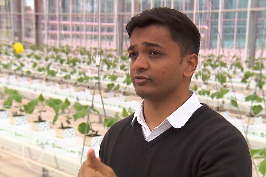 Photo of a man in a greenhouse.