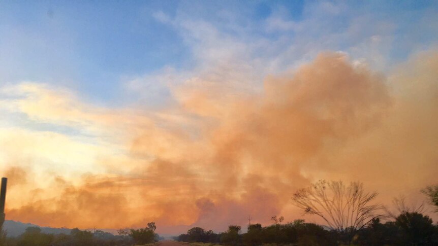 Smoke rises from a bushfire.