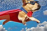 An animated gif of an AI-generated video of a dog wearing a rape cape and flying through the sky