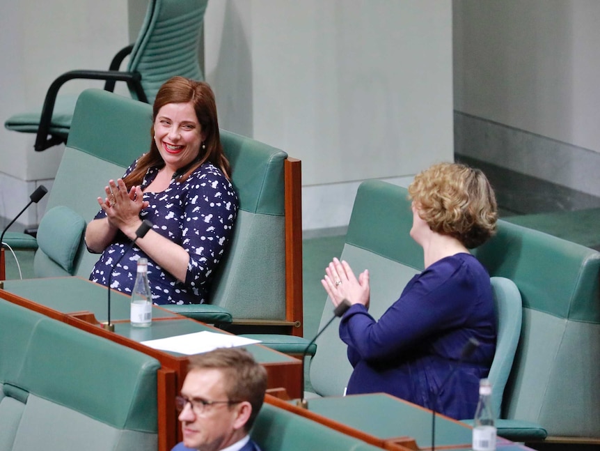 Two pregnant women sitting in the house of representatives clap at each other from across the aisle while smiling