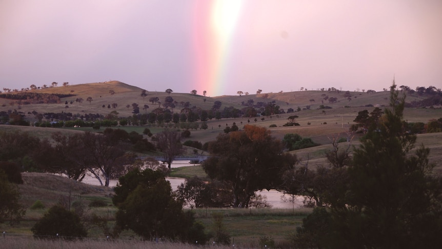 Farmer Tanya Hargraves lost her farm after loan re-financing with the CBA.