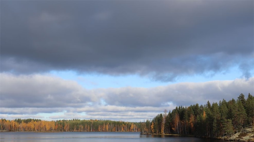 A landscape of a lake with a dense pine forest surrounding it. It's a cloudy day and some of the trees leaves have turned yellow