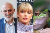 Composite image of Paul Kelly, Taylor Swift and a frog.