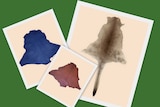 Three kangaroo skins some dyed and ready for bookbinding or craft making
