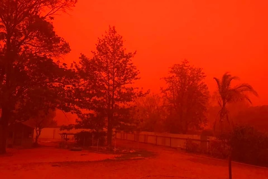 A red dust storm takes over Nyngan in western New South Wales.