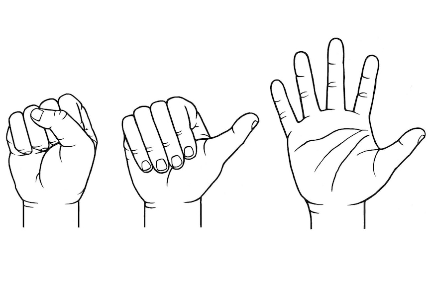 Illustration of a clenched or buttressed fist, an open fist and an open hand