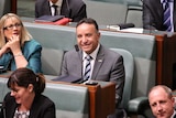 Andrew Nikolic in Parliament
