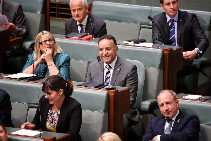 Andrew Nikolic in Parliament.