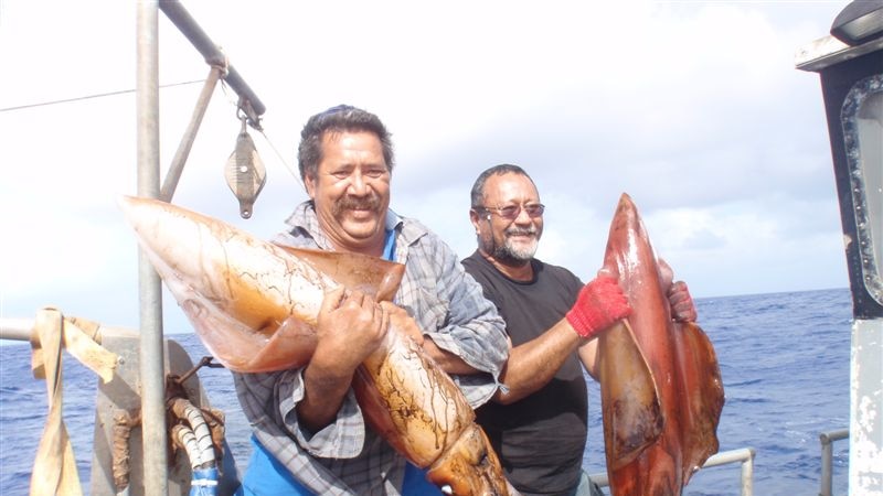 Giant potential: giant squid fishing could be next big Pacific market - ABC  News