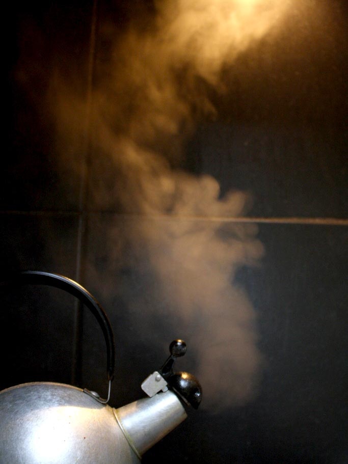 Steam kettle boiling