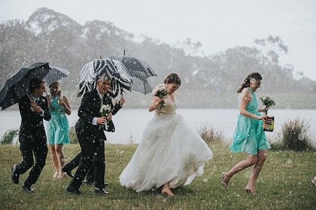 A bridal covers tries to seek cover under umbrellas in pouring