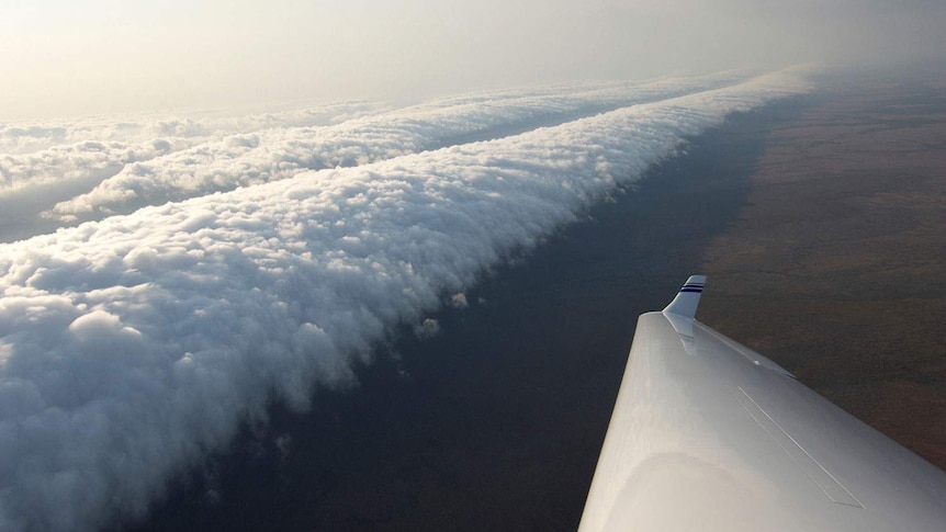 Glider flying along the Morning Glory cloud formation in the Gulf of Carpentaria in northern Australia