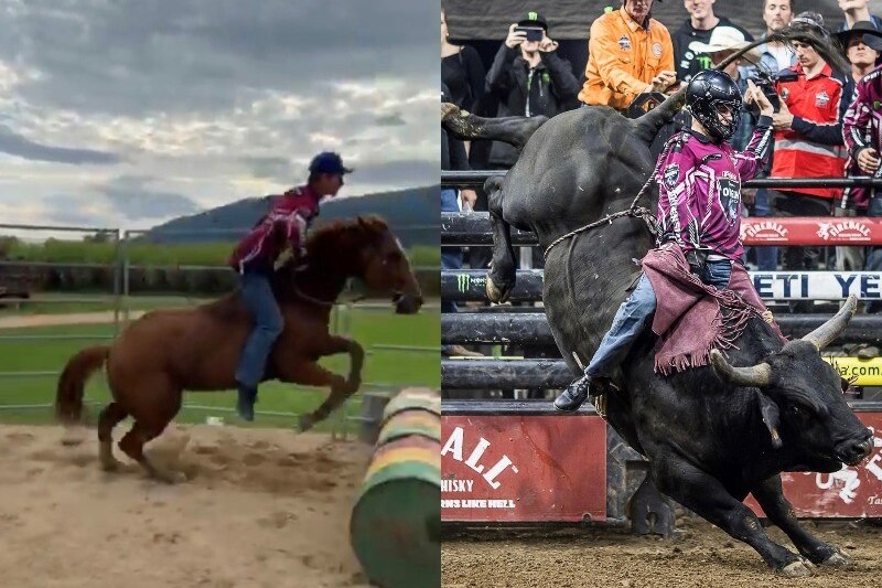 Composite image of the same man, first riding horse bareback (left) and rides bull (right)