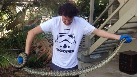Elliot Budd with a carpet python, the second to be pulled from a toilet in Townsville in two weeks.