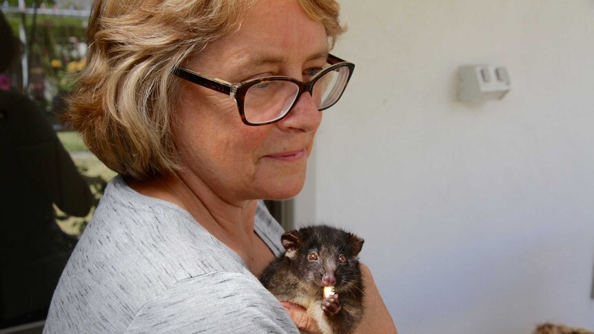 Sandra Gilfillan and possum