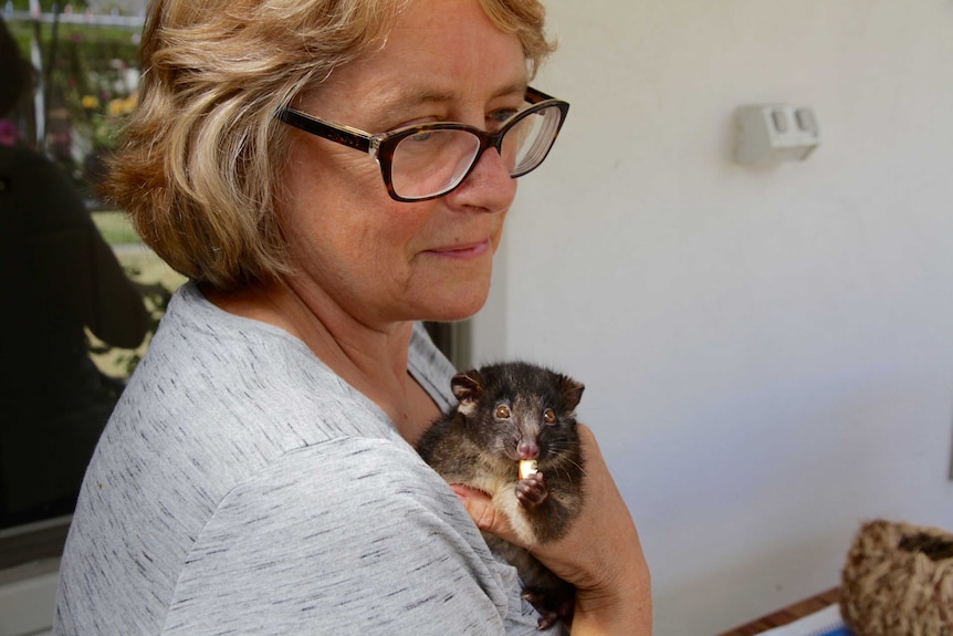 Sandra Gilfillan and possum