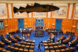 A group of people enter a House of Representatives chamber