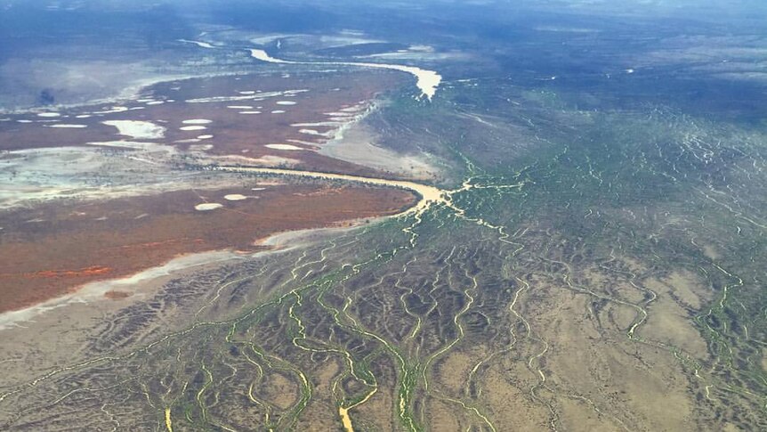 Aerial photo shows the Channel Country rivers and creeks in flood.