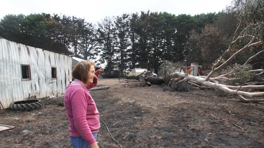 Photo of a farmer: Marilyn Mullan as she looks at the fire destruction around her farm