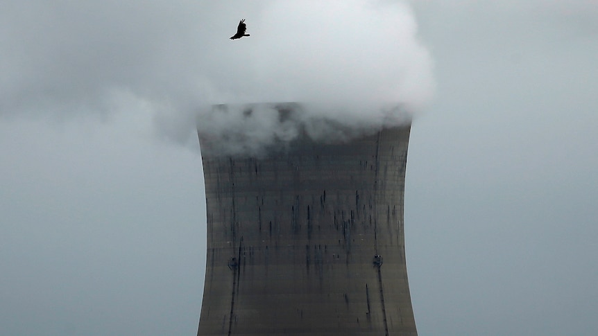 A nuclear cooling plant with a bird flying in front of it.