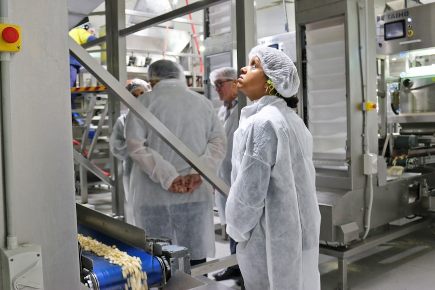 A woman wearing white PPE in a macadamia factory.