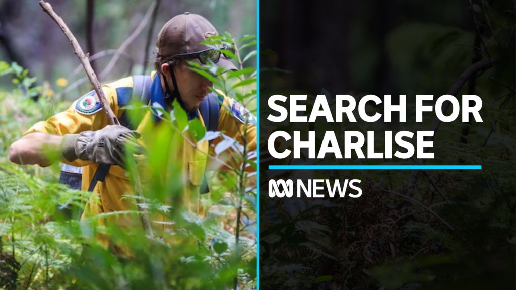 Homicide detectives join search for missing nine-year-old girl in Blue ...