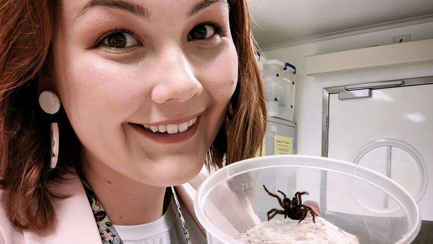 Scientist Samantha Nixon smiles as she holds a container with a juvenile male funnel-web spider in a lab.