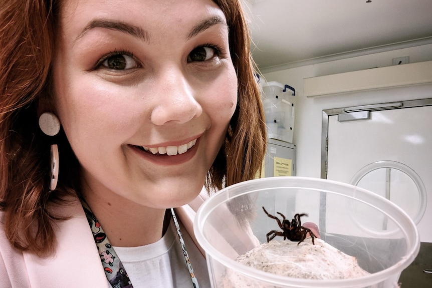 Scientist Samantha Nixon smiles as she holds a container with a juvenile male funnel-web spider in a lab.