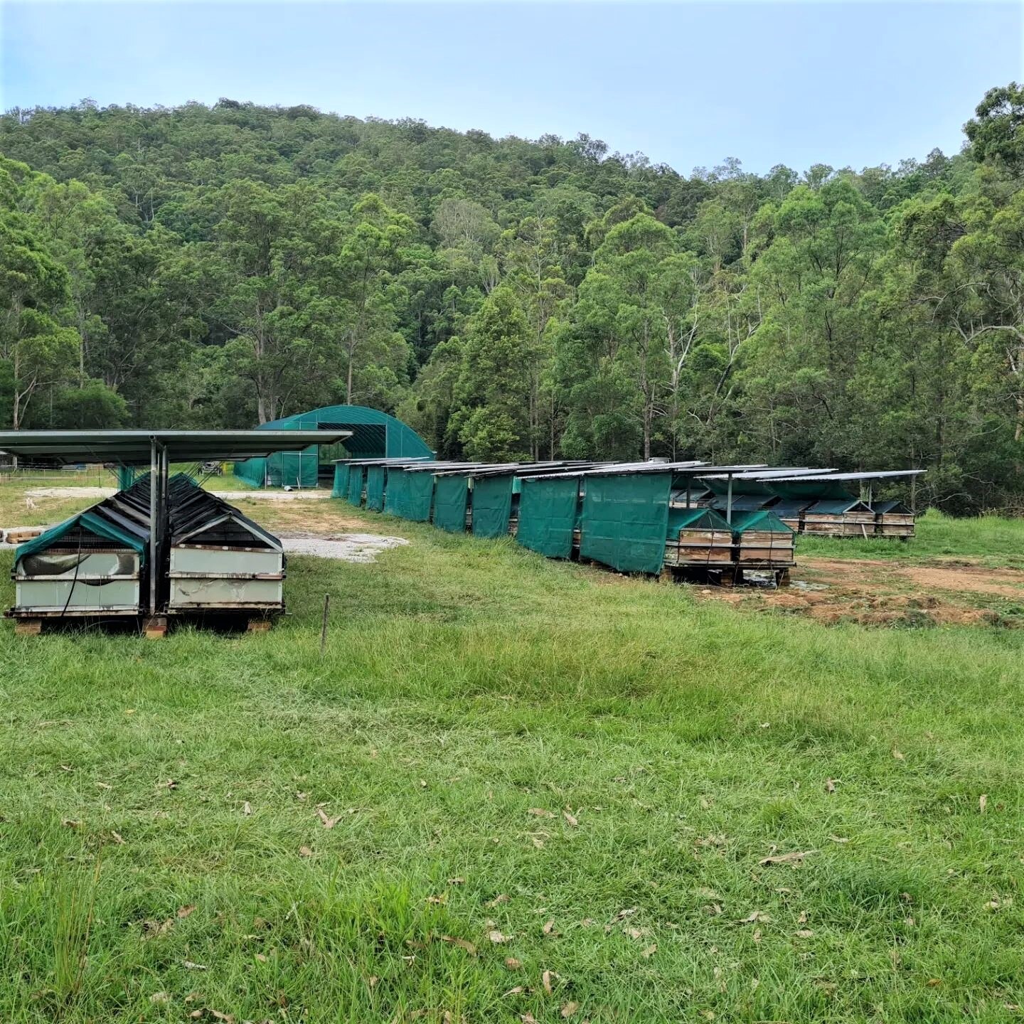 Sustainable worm farming business booming at Stony Creek, creating a
