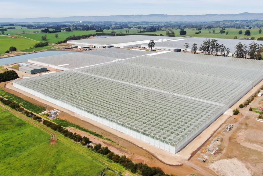 Photo of a large glasshouse.