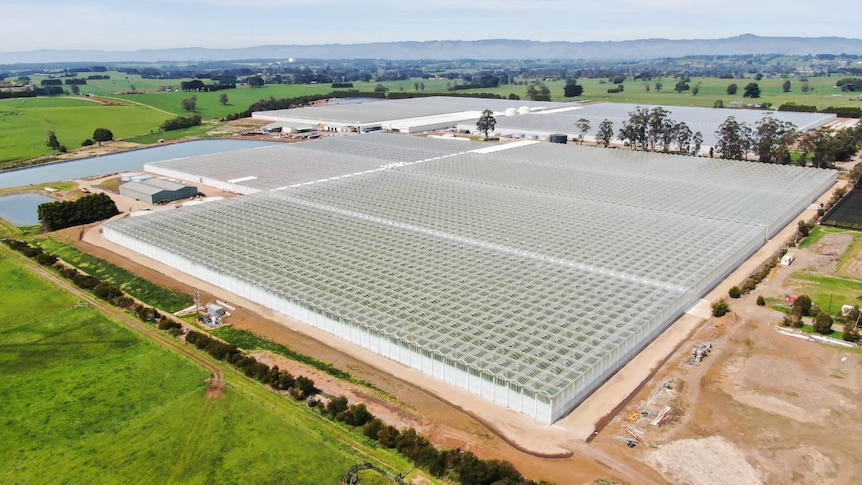 Photo of a large glasshouse.