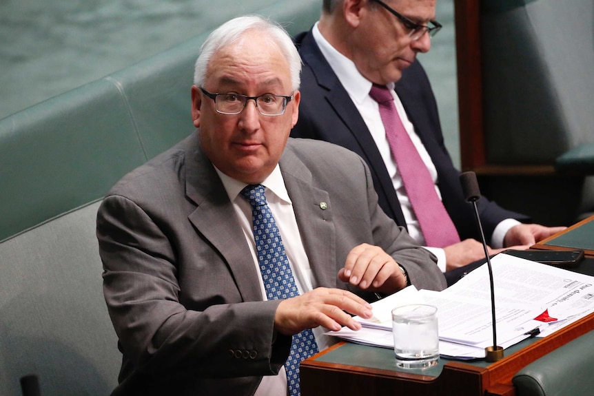 Melbourne Labor MP Michael Danby looks straight at the camera while sitting in Question Time. He's wearing a light grey suit.