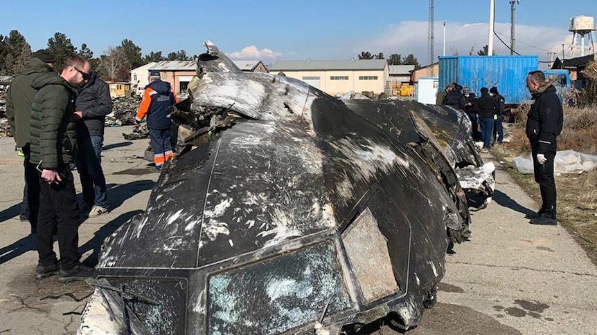 The wreckage of the Ukraine International Airlines Boeing 737-800 at the scene of the crash.