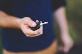 generic photo of car keys
