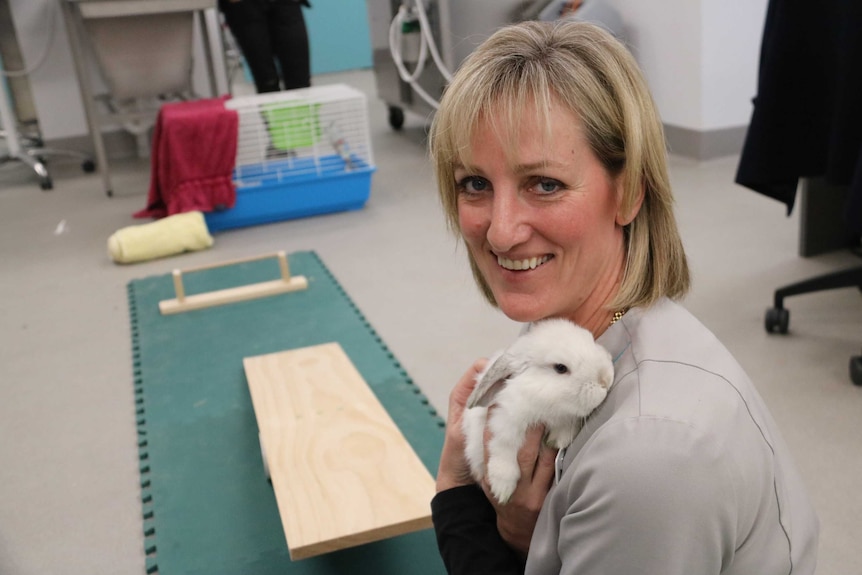 Vet Ingrid Danylyk with rabbit Chinook