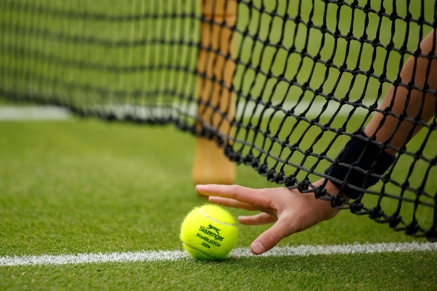 A hand reaches out to grab a yellow tennis ball on the grass next to the net.