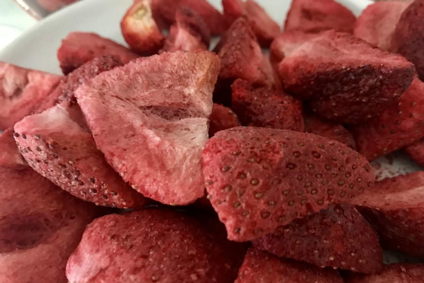 Freeze-dried strawberries at the Schultz's family farm at Wamuran