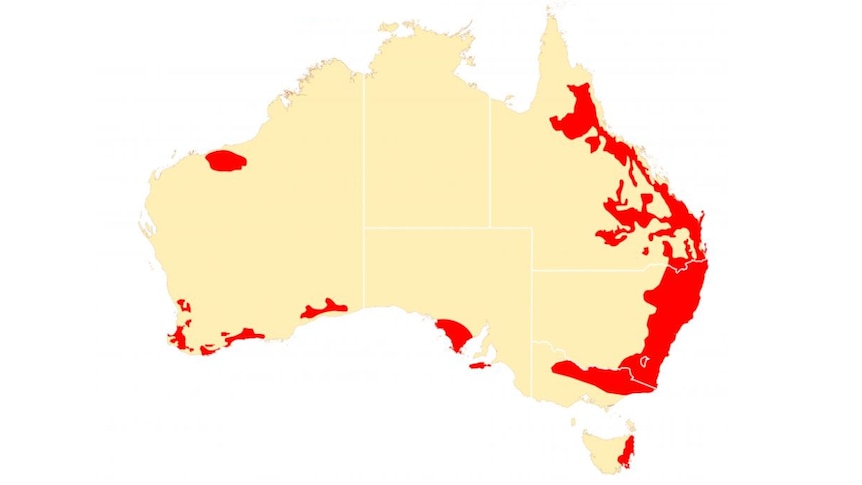 Map of Australia with lots of red in the east coast patches in all states.