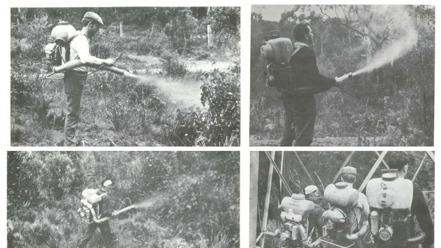 Collage of four black and white photographs showing men in regular clothes operating spray pumps attached to tanks on their back