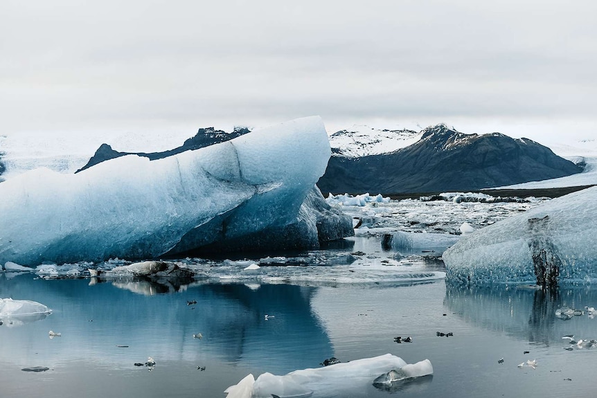 A huge chunk of artic ice.