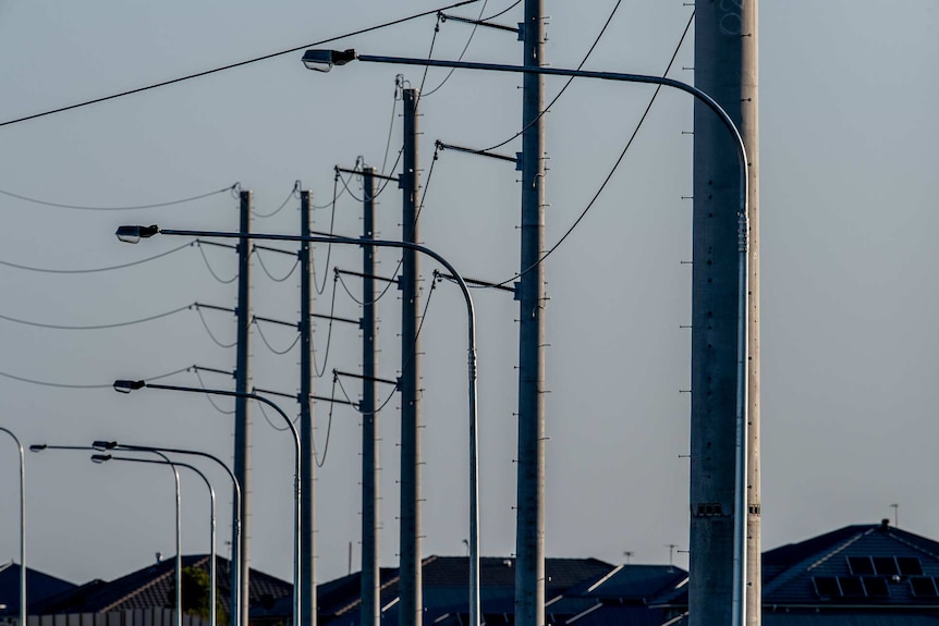 Power poles and street lights line an outer Sydney street.