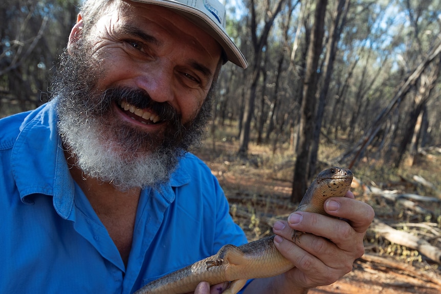 A man with a beard and hat on holding an adult yakka skink