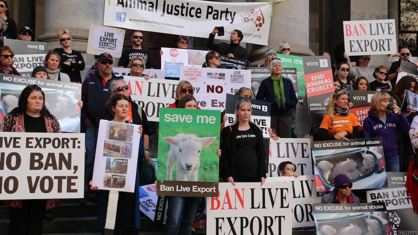 Ban live export protesters hold posters